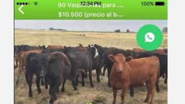 Cómo es la app que permite hacer operaciones con hacienda