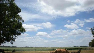 Mejoraría el clima en la zona agrícola argentina