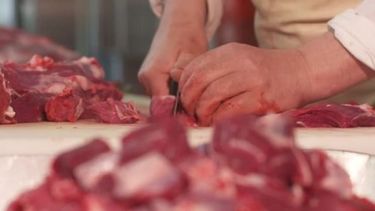 Afirman que es normal el abastecimiento de carne vacuna