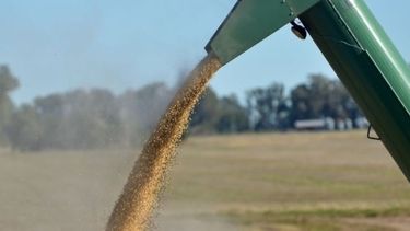 USDA avizora un aumento de las exportaciones argentinas de soja