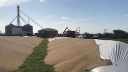 Denuncian nuevas roturas de silobolsas