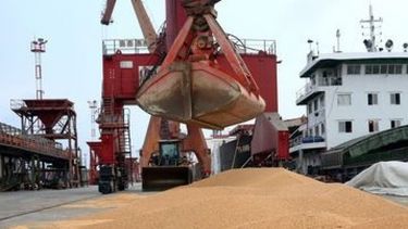 Las importaciones chinas de soja cayeron más de 40% en diciembre