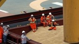 Disputa comercial paraliza las importaciones chinas de soja estadounidense