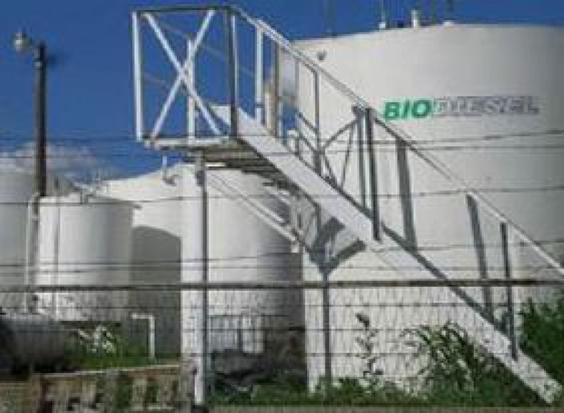La Cámara baja aprobó la eximición de impuestos al biodiésel