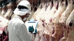 La producción y exportación de carne creció en 2020, pero bajó el consumo