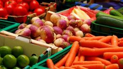 Exportación de alimentos manufacturados cayó más del 5% en el primer semestre