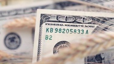 Nuevo panorama impositivo complica al campo