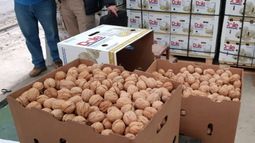 Exportaciones de frutos secos de Río Negro aumentaron un 38% en 2019