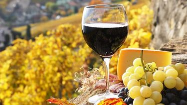 Invierten $210 millones en proyectos sobre turismo del vino 