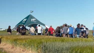 Ruralistas en busca de soluciones.