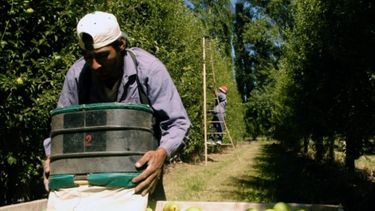 El BICE presta 300 millones de pesos a PYMES del Alto Valle