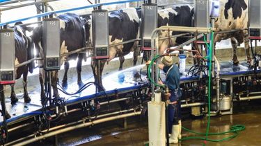 La producción de leche subió más de 9% en el primer trimestre