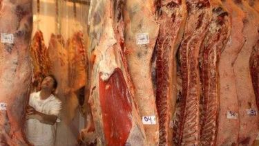 La producción de carne vacuna subió 4,3 por ciento interanual en 2012