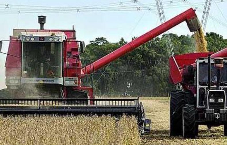 Revelan que productores argentinos retrasan ventas de nueva cosecha soja