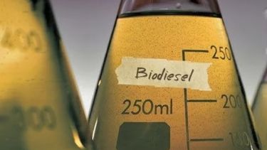Remarcan que la suba de las retenciones al biodiésel frenará exportaciones