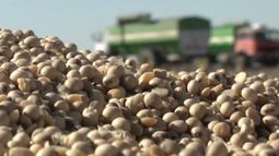 Decretan el fin de la época de altos precios agrícolas
