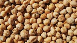 Buena noticia para las economías regionales.