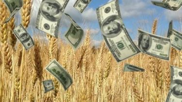 Startup te deja invertir en un fideicomiso agro y ganar 10% en dólares