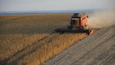 Subrayan que el dólar soja "superó las expectativas más optimistas"