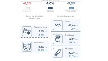 Las estadísticas del INDEC.