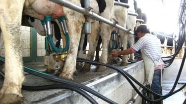 Tamberos también reclaman un tipo de cambio diferenciado