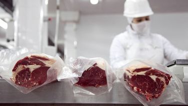 Subieron las exportaciones de carne pero cayó el consumo interno