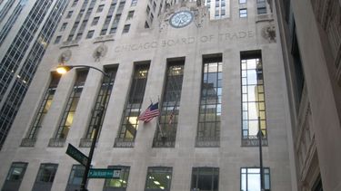 El trigo logró otro récord y quedó en más de US$ 523 por tonelada