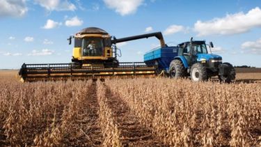 La cosecha de soja ya abarca más del 77% del área nacional sembrada