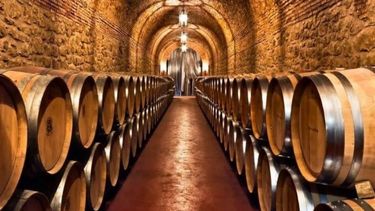 El sector vitivinícola apunta a mejorar la eficiencia energética