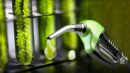 Nuevo aumento del bioetanol que se utiliza para las naftas