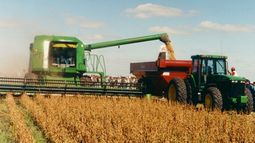 Elevan la estimación de la cosecha de soja en 2 millones de toneladas