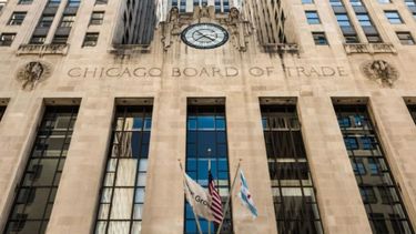 El precio del trigo cayó más de 9 dólares en Chicago