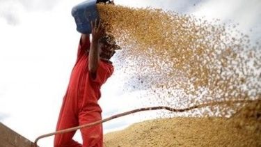 Se redujo el número de importaciones chinas de soja brasileña