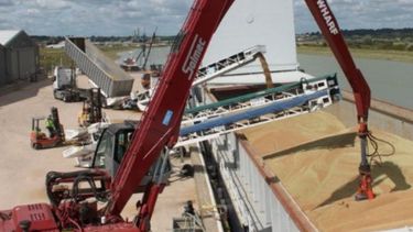 Embarques de granos se redujeron un 16% en 2018