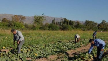 Pusieron en marcha el programa Buena Cosecha