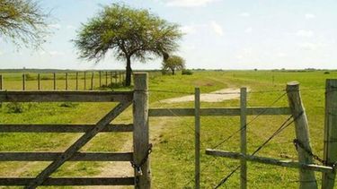 Inmuebles rurales se negocian con bajas de hasta un 20%