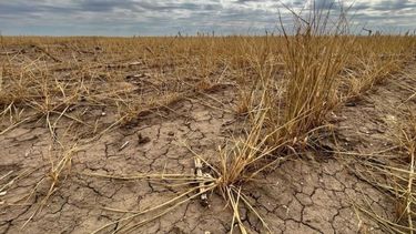 Remarcan que la sequía ya finalizó para la región pampeana