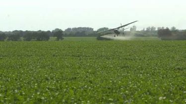 Apuntan a bajar el uso de agroquímicos en Santa Fe