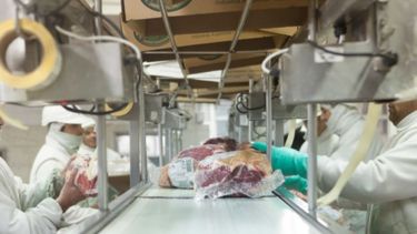 Argentina volverá a exportar carne a Ucrania
