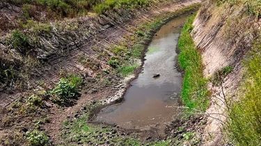 Emergencia agropecuaria para Entre Ríos y áreas de Catamarca