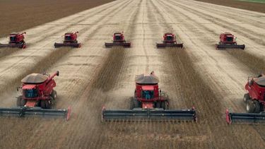 Productores estadounidenses también apuestan a sojizar el campo