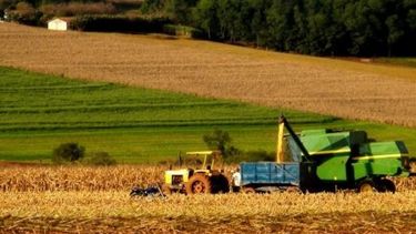 Los alimentos argentinos, en las góndolas del mundo