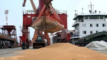 Ventas de soja estadounidense a China llegaron a su punto más bajo desde 2008