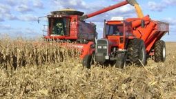 El agro fue el sector con mayor generación de empleos formales en 2018