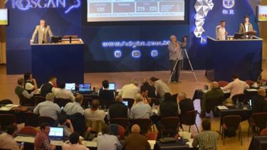 "Hacer" un novillo pesado es toda una "política de Estado"