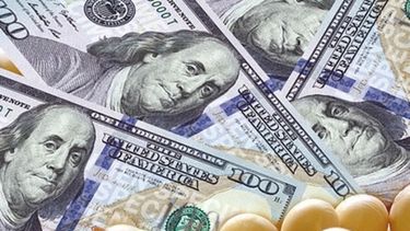 Para el Gobierno, se viene un marzo clave en cuanto al dólar y la soja