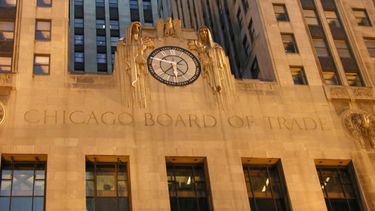 La soja subió más de 5 dólares en Chicago