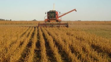 La campaña de soja en Santa Fe estuvo entre las mejores de la historia