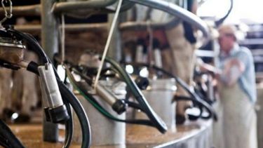 Subsidios oficiales llegan a 5.805 productores lecheros