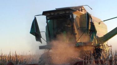 Lluvias en Buenos Aires, La Pampa y Córdoba demoran el fin de la cosecha de soja